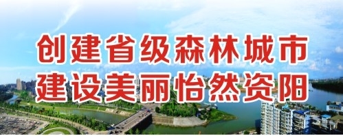 艹逼艹逼艹逼艹逼艹逼创建省级森林城市 建设美丽怡然资阳